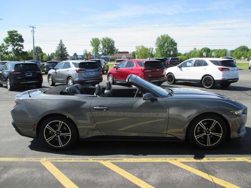 Gray Metallic 2025 Ford Mustang EcoBoost Premium