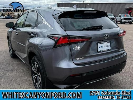 Nebula Gray Pearl 2020 Lexus NX 300 F SPORT