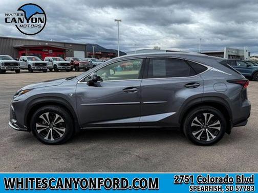Nebula Gray Pearl 2020 Lexus NX 300 F SPORT
