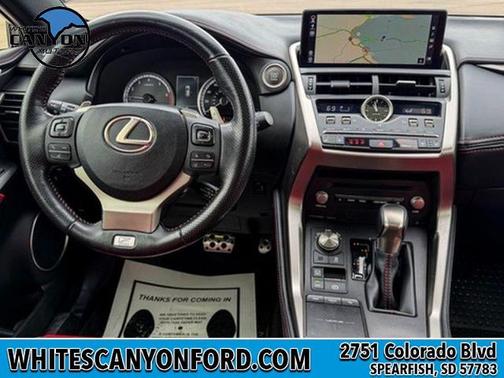 Nebula Gray Pearl 2020 Lexus NX 300 F SPORT