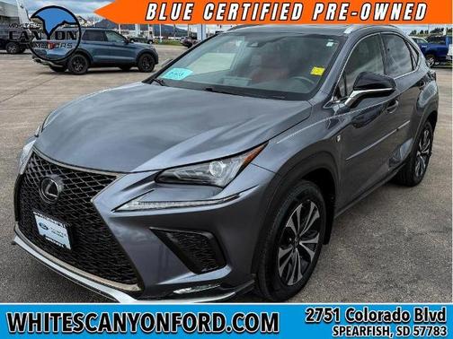 Nebula Gray Pearl 2020 Lexus NX 300 F SPORT