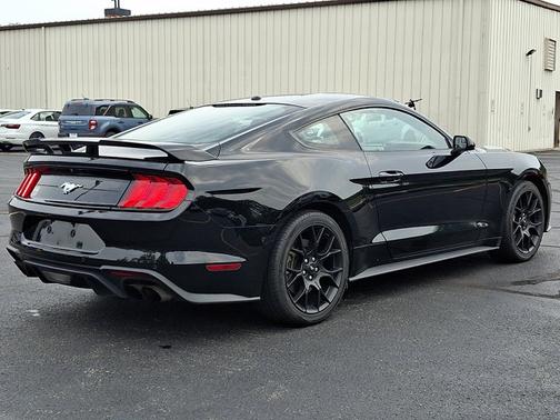 SHADOW BLACK 2019 Ford Mustang ECOBOOST