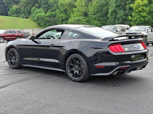 SHADOW BLACK 2019 Ford Mustang ECOBOOST