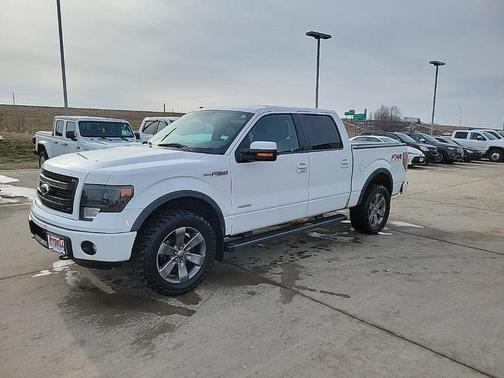2013 Ford F-150 FX4
