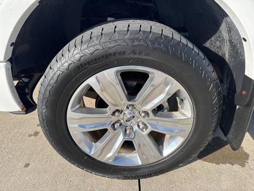 2009 Ford F-150 Platinum