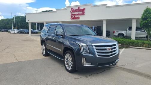 Photo 1 of 14 of 2019 Cadillac Escalade Luxury