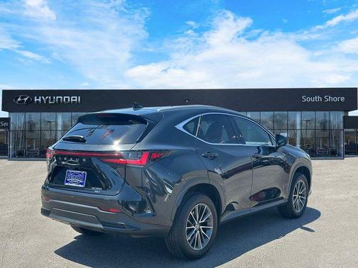 Caviar 2024 Lexus NX 350 Premium