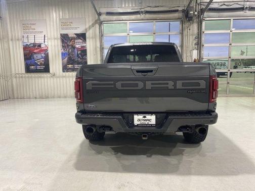 Magnetic Metallic 2019 Ford F-150 Raptor