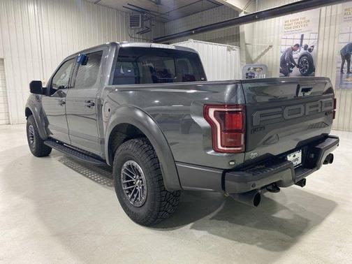 Magnetic Metallic 2019 Ford F-150 Raptor
