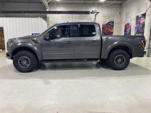 Magnetic Metallic 2019 Ford F-150 Raptor