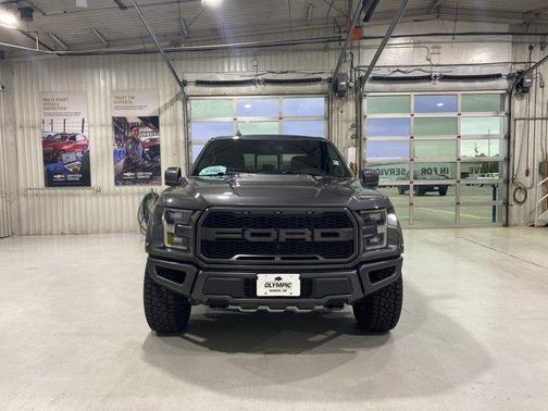 Magnetic Metallic 2019 Ford F-150 Raptor