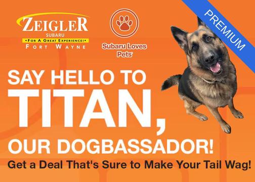 Ice Silver Metallic 2022 Subaru Forester Premium