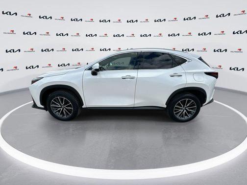 2024 Lexus NX 250 NX 250