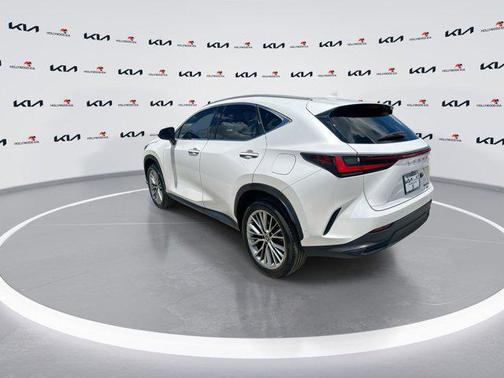 2022 Lexus NX 350h NX 350h Luxury