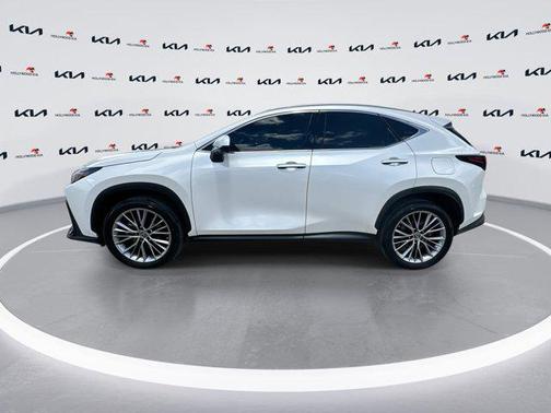 2022 Lexus NX 350h NX 350h Luxury