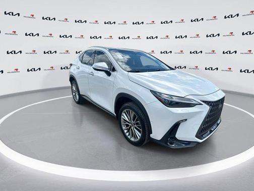 2022 Lexus NX 350h NX 350h Luxury