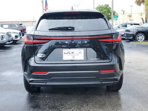 2025 Lexus NX 250 NX 250