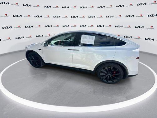 2020 Tesla Model X Performance Dual Motor All-Wheel Drive