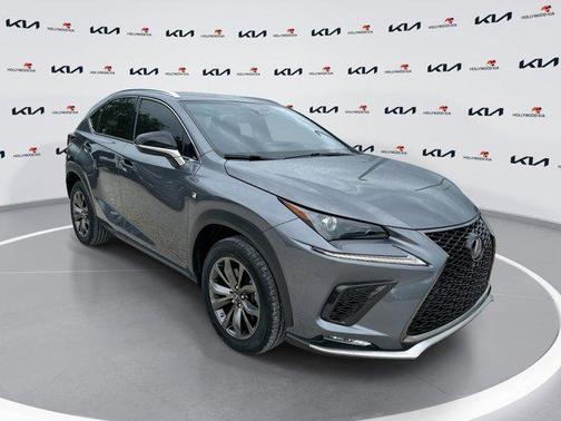 Nebula Gray Pearl 2021 Lexus NX 300 F Sport