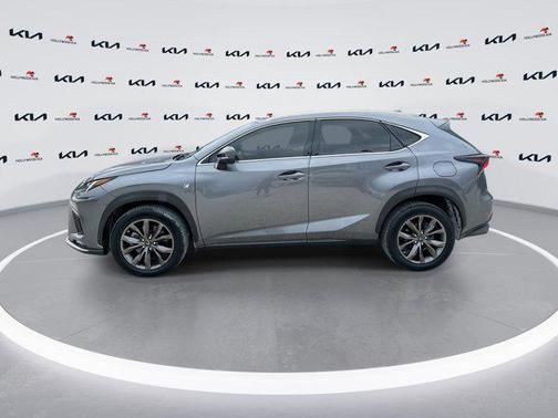 Nebula Gray Pearl 2021 Lexus NX 300 F Sport