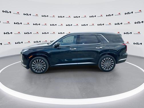 Robust Emerald 2025 Hyundai PALISADE Calligraphy