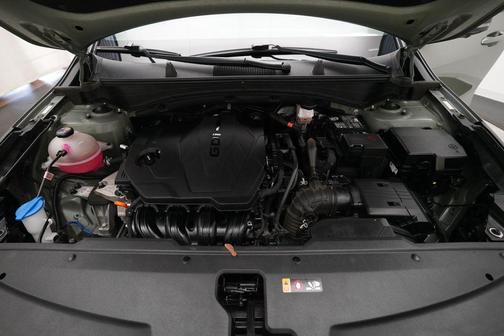 Jungle Green/Ebony Black Roof 2023 Kia Sportage S