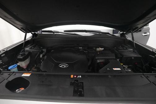 Moonlight Cloud 2021 Hyundai PALISADE Limited