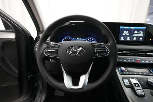 Rainforest 2020 Hyundai PALISADE SEL