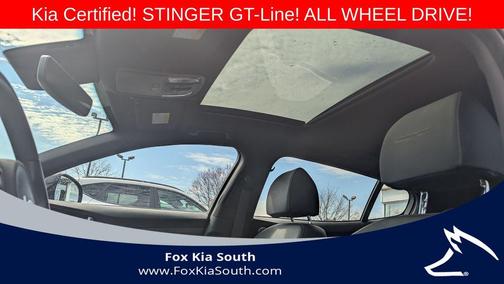 Panthera Metal 2023 Kia Stinger GT-Line
