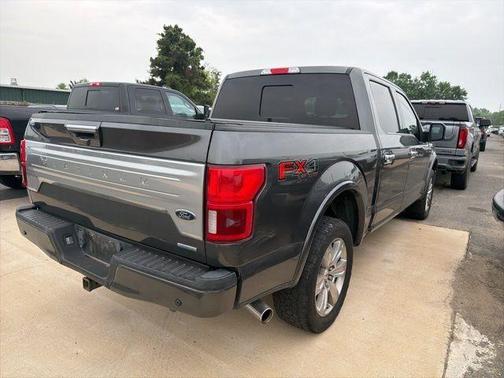 Magnetic 2018 Ford F-150 Platinum