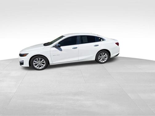 Summit White 2019 Chevrolet Malibu LT