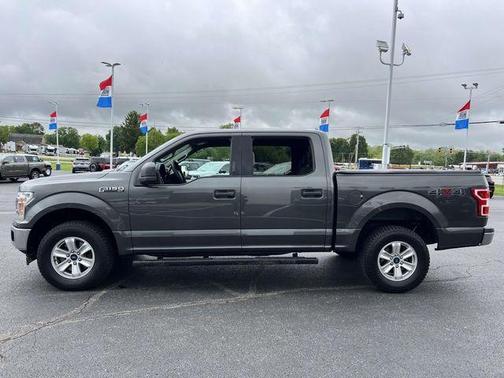Magnetic 2019 Ford F-150 XLT