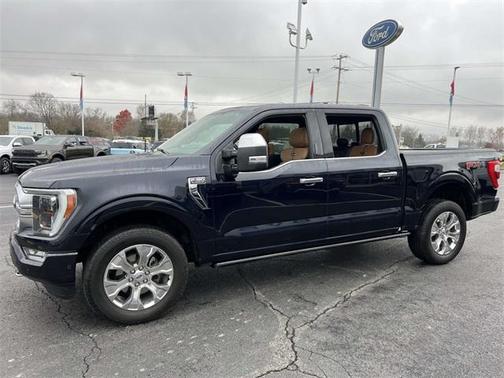 2021 Ford F-150 Platinum