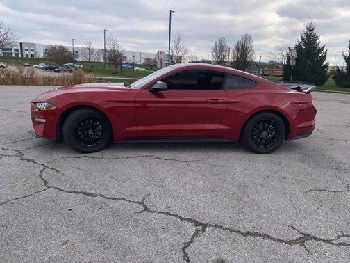 2023 Ford Mustang EcoBoost