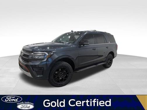 STONE BLUE 2023 Ford Expedition TIMBERLINE