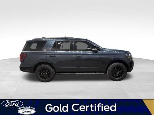 STONE BLUE 2023 Ford Expedition TIMBERLINE