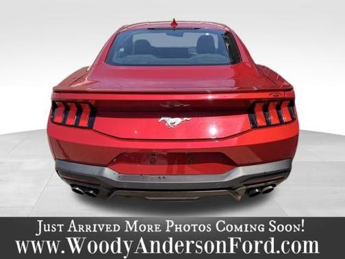 RAPID RED MET TINTED CC 2024 Ford Mustang ECOBOOST PREMIUM