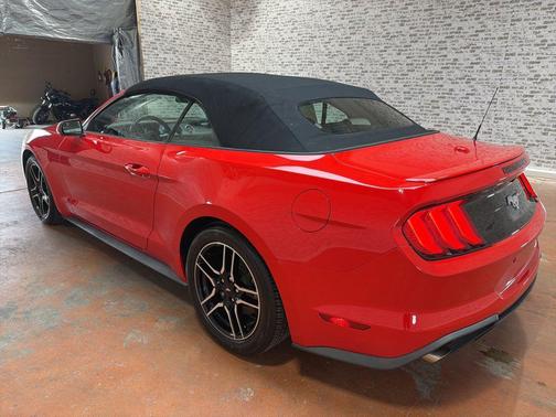 Race Red 2019 Ford Mustang EcoBoost Premium