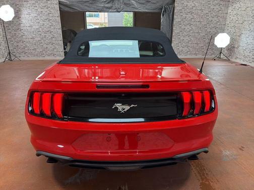 Race Red 2019 Ford Mustang EcoBoost Premium