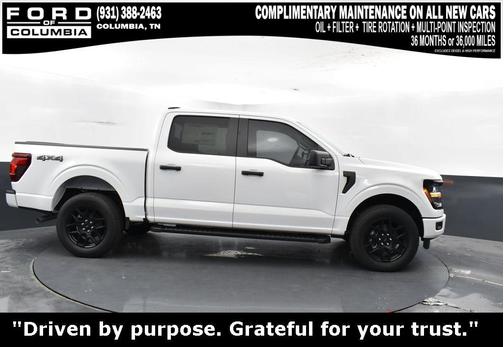 2025 Ford F-150 STX
