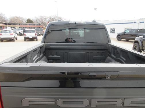 Agate Black Metallic 2024 Ford F-150 Raptor