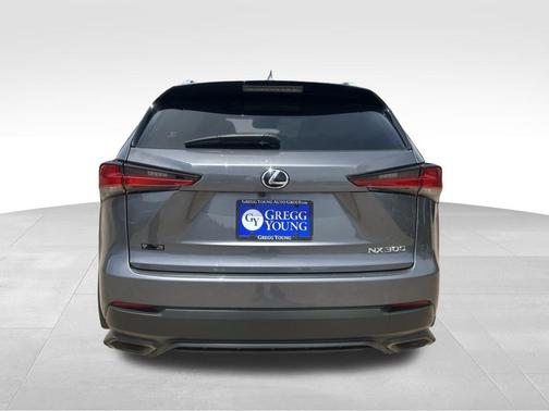 Nebula Gray Pearl 2020 Lexus NX 300 Base