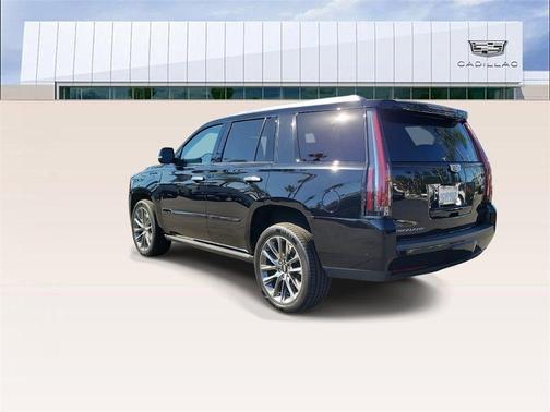 2019 Cadillac Escalade Platinum