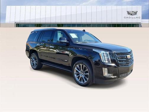 2019 Cadillac Escalade Platinum