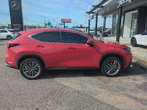 2025 Lexus NX 350 Luxury