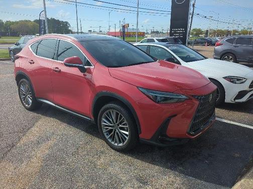 2025 Lexus NX 350 Luxury