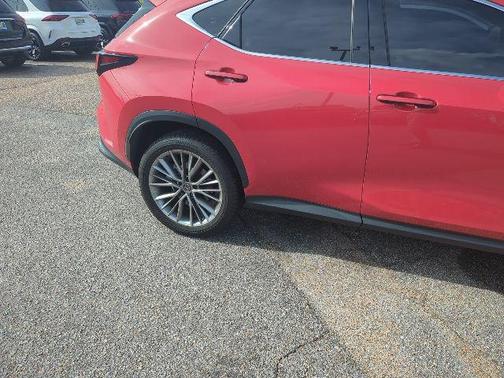 2025 Lexus NX 350 Luxury
