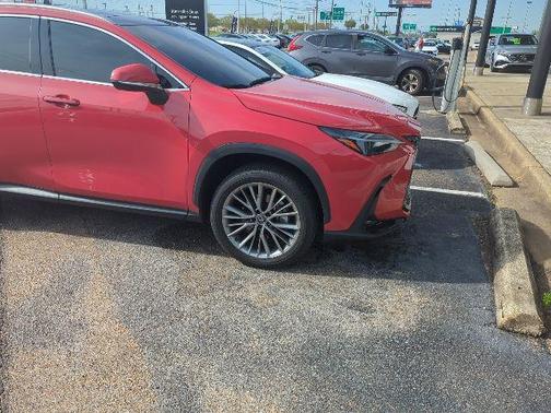 2025 Lexus NX 350 Luxury