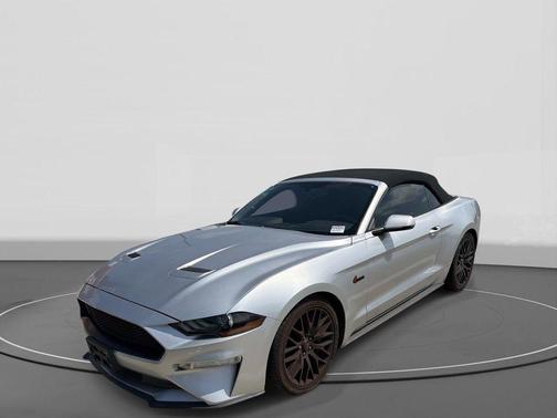 Ingot Silver Metallic 2019 Ford Mustang GT Premium