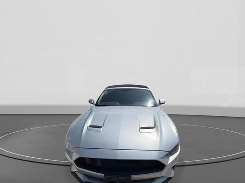Ingot Silver Metallic 2019 Ford Mustang GT Premium